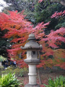 2014-11-30 六義園38