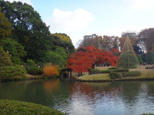 2014-11-30 六義園30