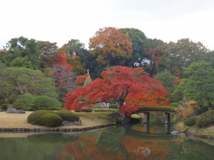 2014-11-30 六義園40